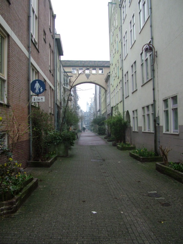 DSCF1060